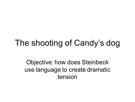 The shooting of Candy’s dog
