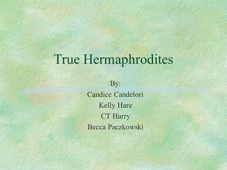 True Hermaphrodites By: Candice Candelori Kelly Hare CT Harry Becca Paczkowski.