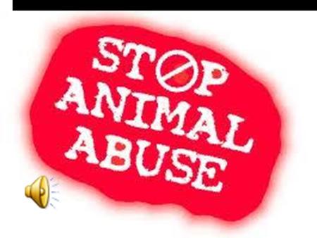Animal Abuse Statistics  Of 1880 animal cruelty cases reported in 2007  64.5% involved dogs  18% involved cats  25% involved other animals.