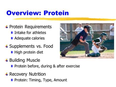 Overview: Protein Protein Requirements Supplements vs. Food