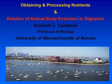Obtaining & Processing Nutrients & Relation of Animal Body Evolution to Digestion Kenneth L. Campbell Professor of Biology University of Massachusetts.