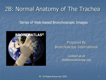 BI, All Rights Reserved, 2005 1 2B:Normal Anatomy of The Trachea Prepared By Bronchoscopy International Contact us at BRONCHATLAS ©