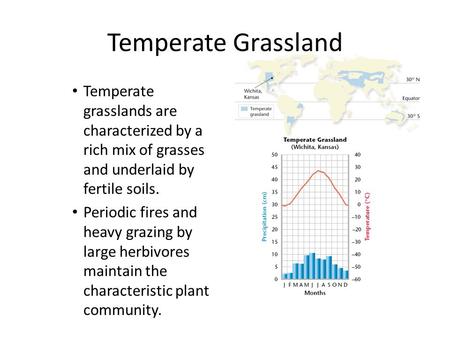 Temperate Grassland Temperate grasslands are characterized by a rich mix of grasses and underlaid by fertile soils. Periodic fires and heavy grazing by.
