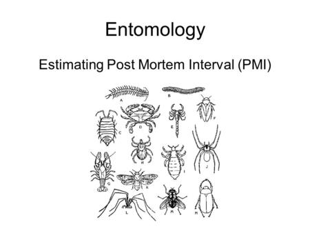 Estimating Post Mortem Interval (PMI)