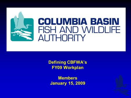 Defining CBFWA’s FY09 Workplan Members January 15, 2009.