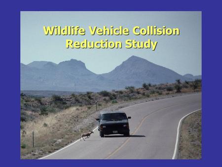 Wildlife Vehicle Collision Reduction Study. Why this Study.