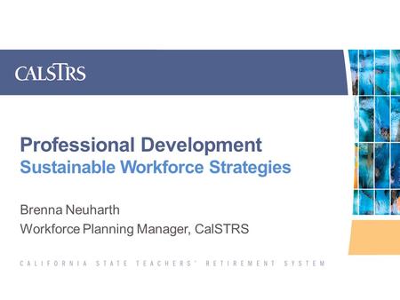 Professional Development Sustainable Workforce Strategies Brenna Neuharth Workforce Planning Manager, CalSTRS.