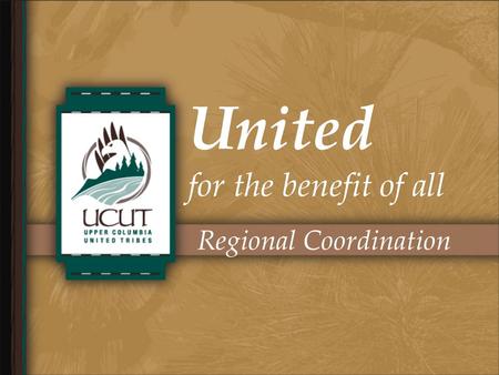 United for the benefit of all Regional Coordination.