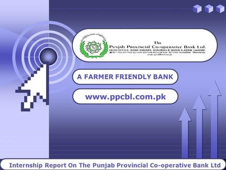Internship Report On The Punjab Provincial Co-operative Bank Ltd