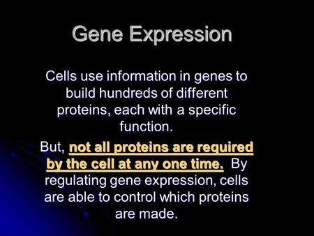 Gene Expression Cells use information in genes to build hundreds of different proteins, each with a specific function. But, not all proteins are required.
