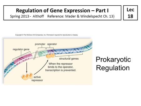 Prokaryotic Regulation Regulation of Gene Expression – Part I Spring 2013 - Althoff Reference: Mader & Windelspecht Ch. 13) Lec 18.