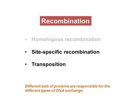 Recombination Homologous recombination Site-specific recombination Transposition Different sets of proteins are responsible for the different types of.