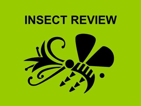 INSECT REVIEW.