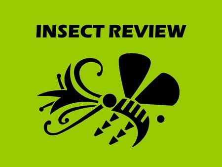INSECT REVIEW. Hard, outer wings of insects such as beetles. SHELL-LIKE.