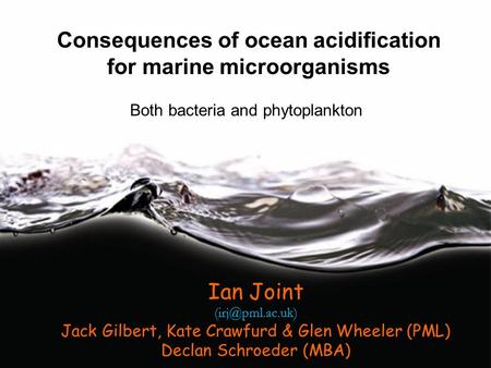 © Ian Joint Plymouth Marine Laboratory 2011 Ian Joint Jack Gilbert, Kate Crawfurd & Glen Wheeler (PML) Declan Schroeder (MBA) Consequences.