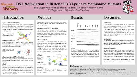 DNA Methylation in Histone H3.3 Lysine to Methionine Mutants Ellie Degen with Stefan Lundgren, Siddhant Jain and Dr. Peter W. Lewis UW Department of Biomolecular.