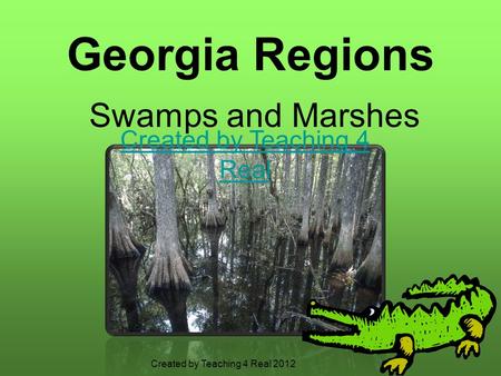 Georgia Regions Swamps and Marshes Created by Teaching 4 Real Created by Teaching 4 Real 2012.