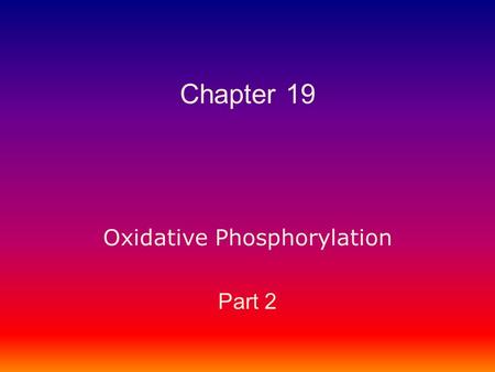 Oxidative Phosphorylation Part 2 Chapter 19. Oxidative Phosphorylation Part 2 Key Topics: To Know 1.How cells deal with reactive oxygen species (ROS).