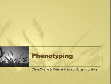 Phenotyping Clare Coyne & Melanie Harrison-Dunn, curators.