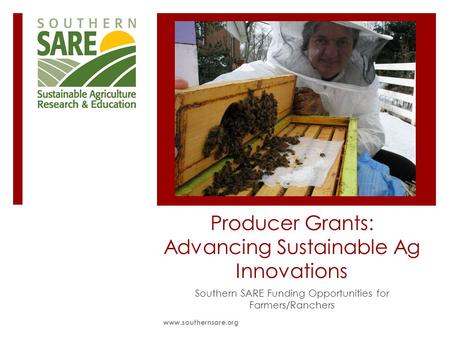 Producer Grants: Advancing Sustainable Ag Innovations Southern SARE Funding Opportunities for Farmers/Ranchers www.southernsare.org.