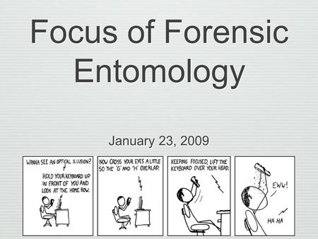 Focus of Forensic Entomology January 23, 2009. Definitions Forensic: Pertaining to, connected with, or used in courts of law Entomology: The branch of.