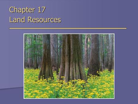 Chapter 17 Land Resources. Land Use - Worldwide Land Use - United States  55% of US land is privately owned  Remainder of land is owned by government.