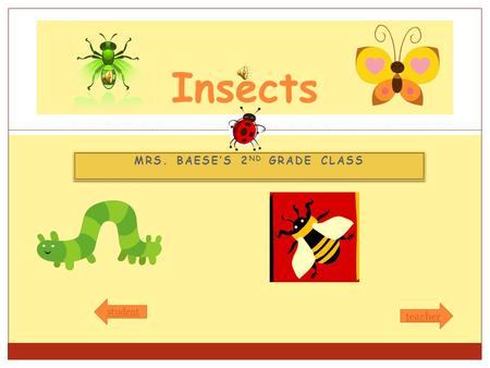 MRS. BAESE’S 2 ND GRADE CLASS Insects student teacher.