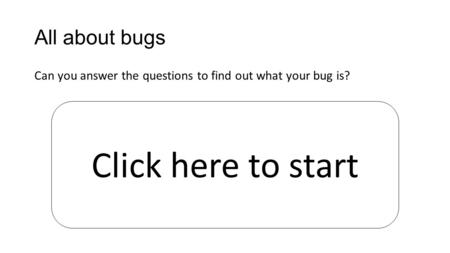All about bugs Can you answer the questions to find out what your bug is? Click here to start.