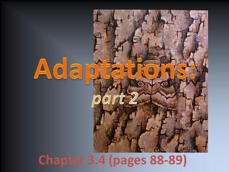 Chapter 3.4 (pages 88-89). Key concepts: Identify three kinds of adaptations that help organisms survive. Describe the four parts of natural selection.