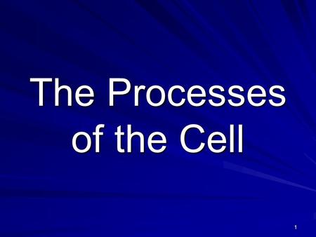 1 The Processes of the Cell. 2 What has to happen to your cells in order to grow from a baby into an adult?