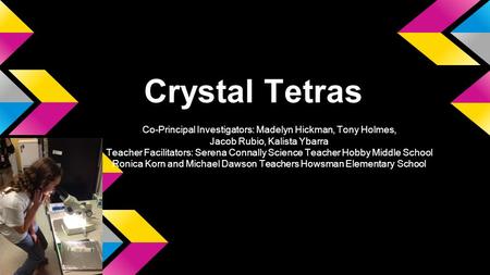 Crystal Tetras Co-Principal Investigators: Madelyn Hickman, Tony Holmes, Jacob Rubio, Kalista Ybarra Teacher Facilitators: Serena Connally Science Teacher.