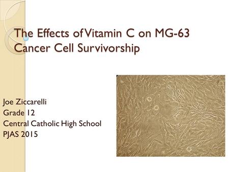 The Effects of Vitamin C on MG-63 Cancer Cell Survivorship