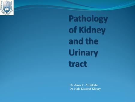 Dr. Amar C. Al-Rikabi Dr. Hala Kassouf Kfoury. Objectives 1- Introduction to the renal pathology 2- Cystic diseases 3- Acute Kidney Injury 4- Definitions,