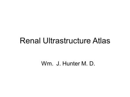 Renal Ultrastructure Atlas