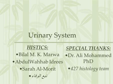 Urinary System HISTICS: Bilal M. K. Marwa AbdulWahhab Idrees Sarah Al-Morit نبع الوفاء SPECIAL THANKS: Dr. Ali Mohammed PhD 427 histology team.