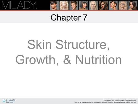 Chapter 7 Skin Structure, Growth, & Nutrition Learning Objectives Describe the structure and composition of the skin. List the six functions of the skin.