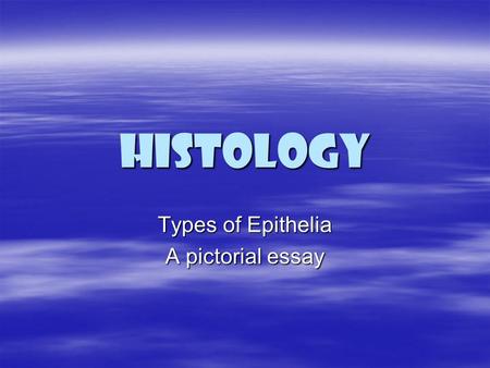 Types of Epithelia A pictorial essay