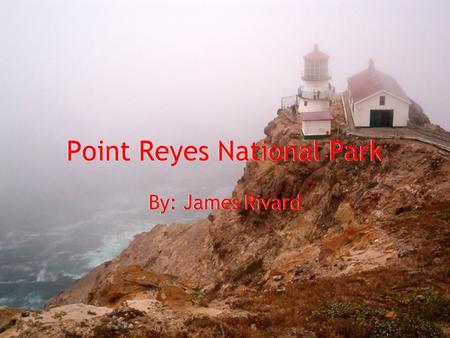 Point Reyes National Park By: James Rivard. Year Of Establishment Point Reyes, north of San Francisco California, was named a National Park on September.