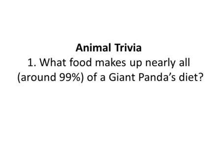 Animal Trivia 1. What food makes up nearly all (around 99%) of a Giant Panda’s diet?