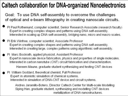 Caltech collaboration for DNA-organized Nanoelectronics The Caltech DNA- nanoelectronics team.