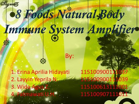 8 Foods Natural Body Immune System Amplifier By: 1. Erina Aprilia Hidayati115100900111037 2. Layyin Yeprila N.115100900111039 3. Wida Agus Z.115100613111001.