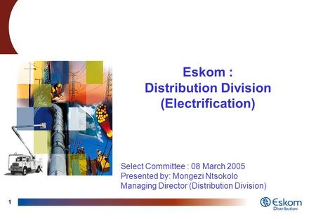 1 Eskom : Distribution Division (Electrification) Select Committee : 08 March 2005 Presented by: Mongezi Ntsokolo Managing Director (Distribution Division)