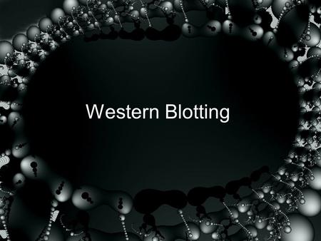 Western Blotting.