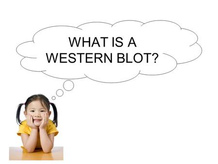 WHAT IS A WESTERN BLOT?.