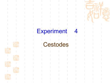 Experiment 4 Cestodes.