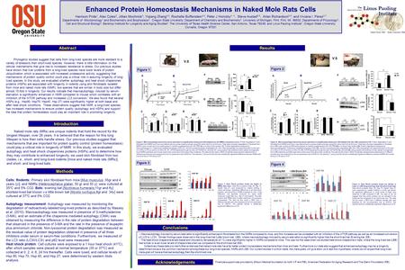 Enhanced Protein Homeostasis Mechanisms in Naked Mole Rats Cells Harrison Pride 1, Alex Coles 2, Jillian Mochnick 3, Yiqiang Zhang 4,5, Rochelle Buffenstein.