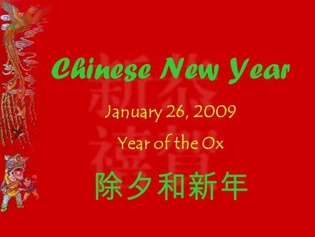 Chinese New Year January 26, 2009 Year of the Ox 除夕和新年.
