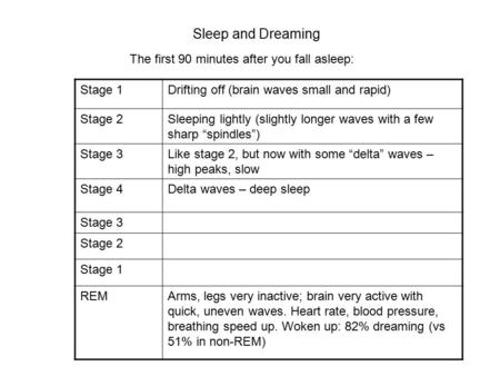 Sleep and Dreaming The first 90 minutes after you fall asleep: Stage 1Drifting off (brain waves small and rapid) Stage 2Sleeping lightly (slightly longer.