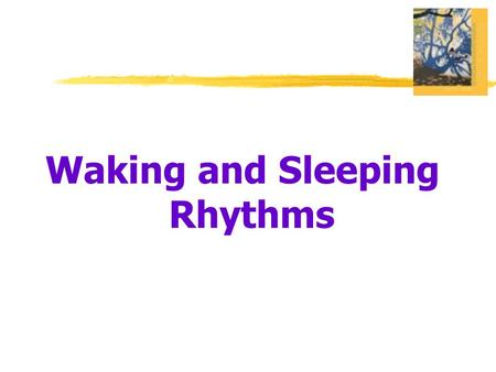 Waking and Sleeping Rhythms. Waking Consciousness  Consciousness  our awareness of ourselves and our environments.