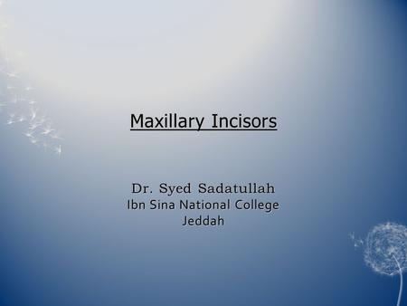 Introduction Maxillary incisors are four in number Maxillary central incisor and lateral are similar in anatomy and complement each other in function.